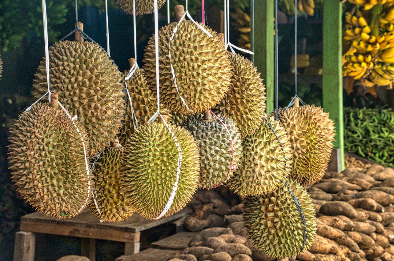 Durian Frukt