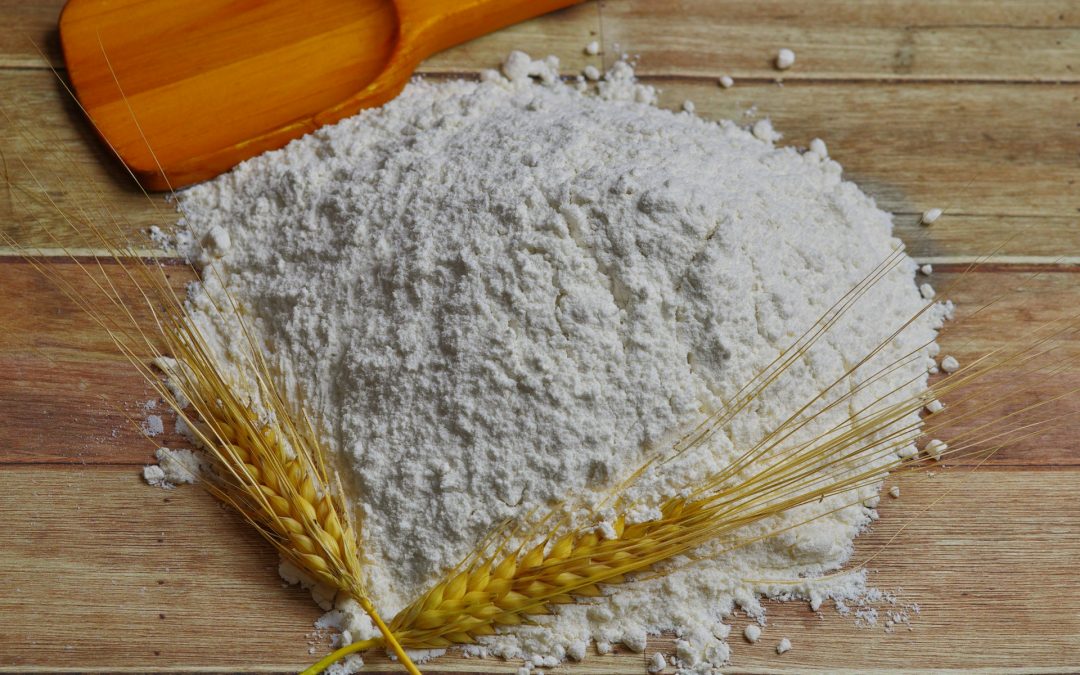 Pitepojkar – anisbröd från Norrbotten