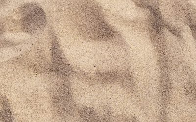 Sandloppor – vad är det och hur skyddar man sig?