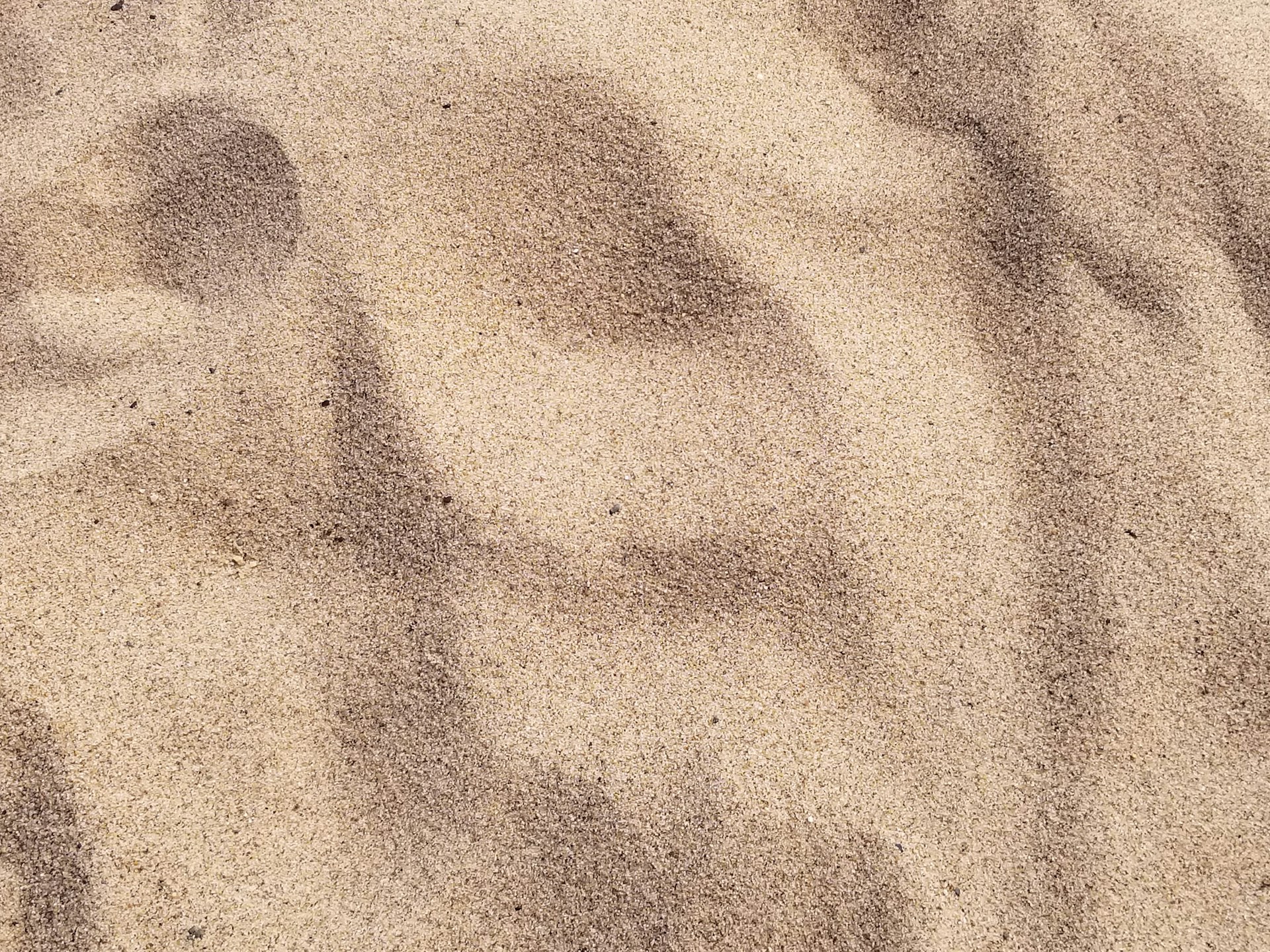 Sandloppor